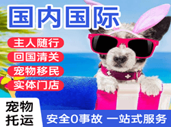 福州长乐空运公司国际宠物托运 【国
